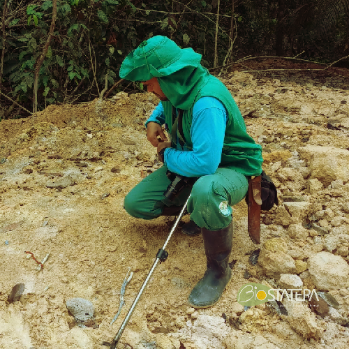 Consultoria Ambiental